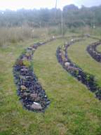 carrowcrory 7095.jpg